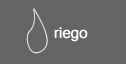 goteo irrigacion